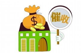 保康为什么选择专业追讨公司来处理您的债务纠纷？